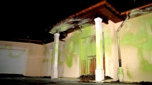 un peu de green bashing