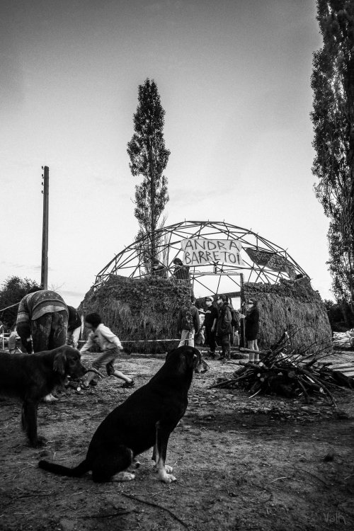 20160626-220730_refaire_un_dome_zad_nddl_cc_valk-0d081