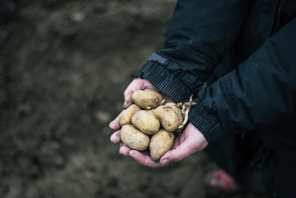 Bure_042016©Fabrice_Caterini_Inediz-2