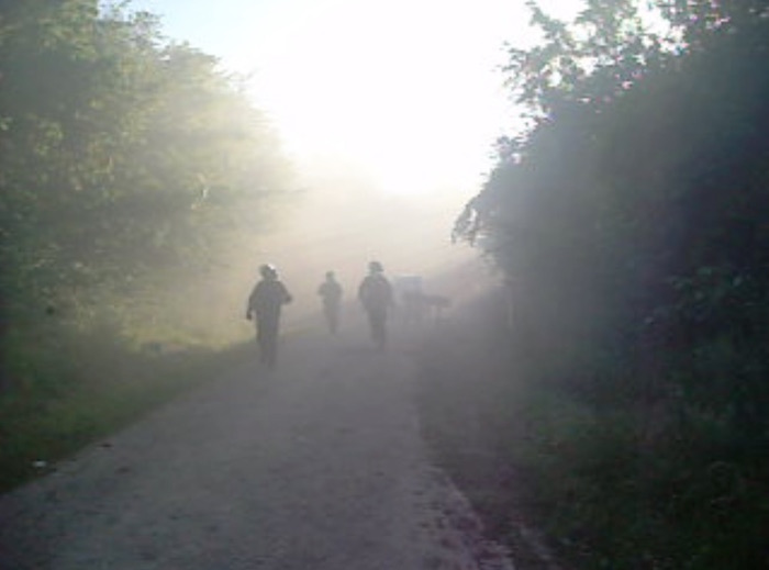 arrive_police_dans_les_bois_v_1